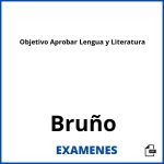 Examenes Objetivo Aprobar Lengua y Literatura Bruño PDF
