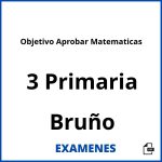 Examenes Objetivo Aprobar Matematicas 3 Primaria Bruño PDF