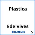 Examenes Plastica Edelvives PDF