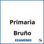 Examenes Primaria Bruño PDF