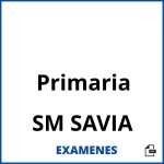 Examenes Primaria SM SAVIA PDF