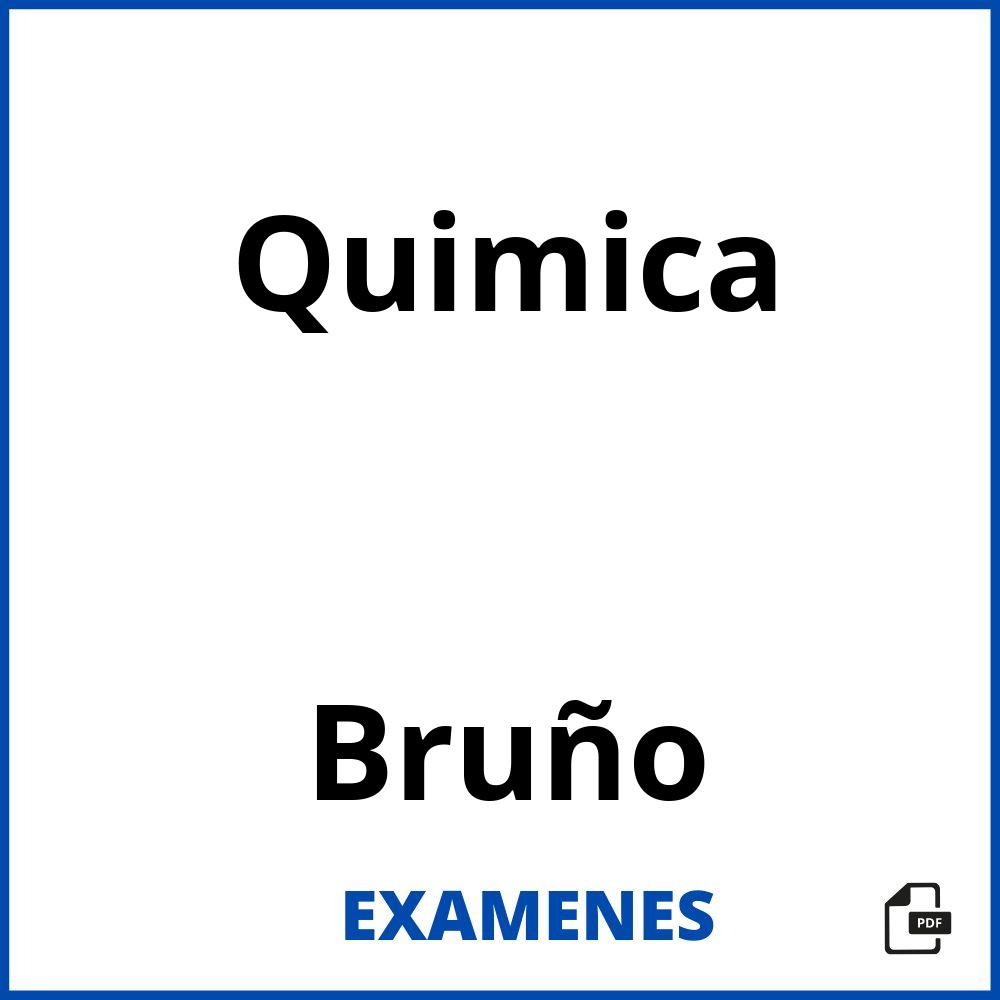 Quimica Bruño