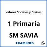 Examenes Valores Sociales y Civicos 1 Primaria SM SAVIA PDF